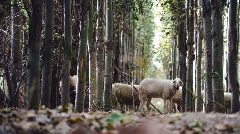 clip_image014.jpg clip_image014.jpg