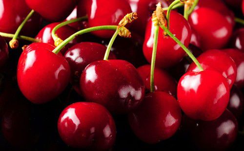 櫻桃紅了 探尋京郊櫻桃采摘好去處 櫻桃紅了 探尋京郊櫻桃采摘好去處